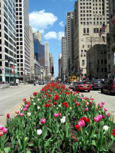 Magnificent-Mile