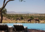 Staying in luxury safari lodges, a person gets great service, perfectly-designed accommodation and excellent location for game viewing.