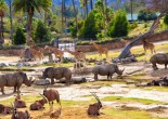 San Diego Zoo was founded 90 years ago and has an excellent reputation in the sphere of animal care. This is one of the most beloved tourist attractions.