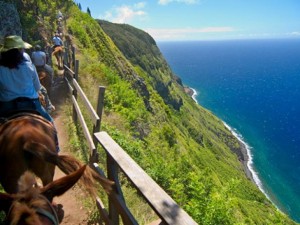 idea_ss_molokai_009_molokai-mule-ride_596x334.rend.tccom.616.462