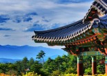 Join us on an endeavor across South Korea. Elite Club Ltd is taking you to historic landmarks, luxury resorts, and shows you the best of what Seoul has to offer.