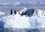 Antarctica may seem like an inaccessible and even downright hostile continent, but adventurous travelers who have witnessed its ethereal landscape agree it’s an unforgettable, one of a kind experience.