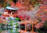 If you’re planning a trip to Japan, one of the most important steps is deciding where to visit.
To help you navigate the possibilities and decide where to visit, we'll give you some tips.