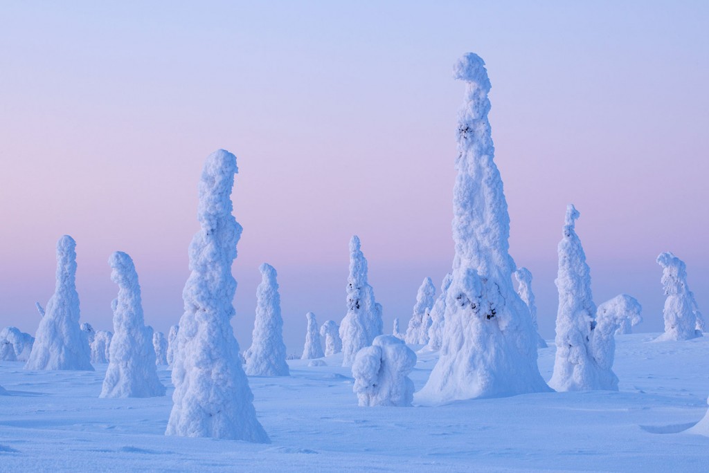 1-finland-snowy-trees-riisitunturi-national-park