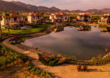 Just south of the California and Mexico border, lies Valle de Guadalupe, a sprawling wine country tucked away alongside dirt roads and farm land.